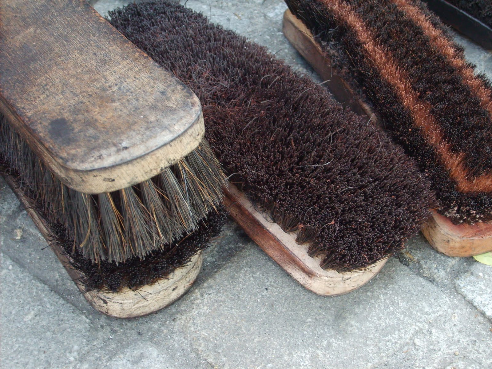 [S5001466.JPG]