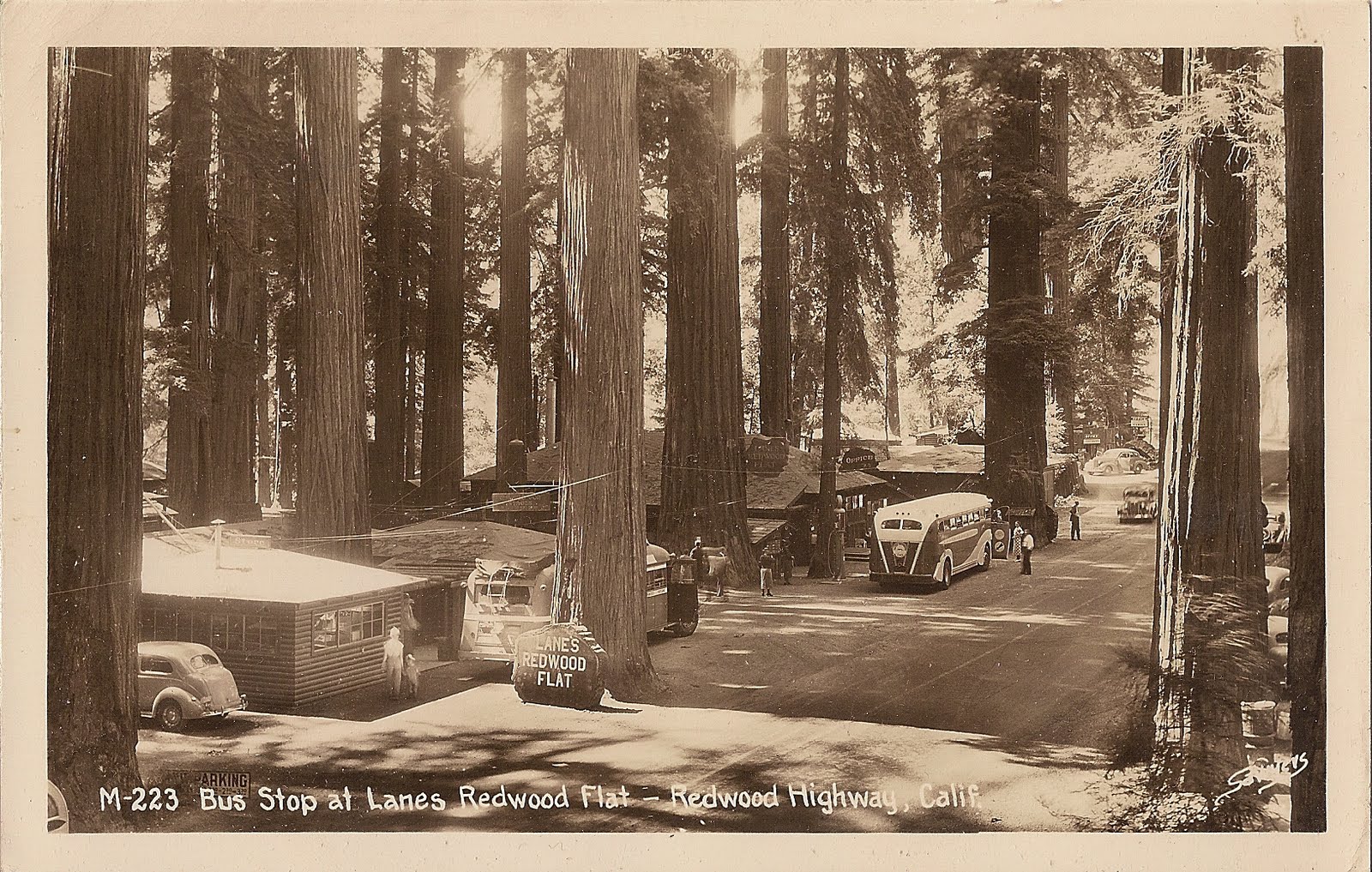Smithe Redwoods State Natural Reserve