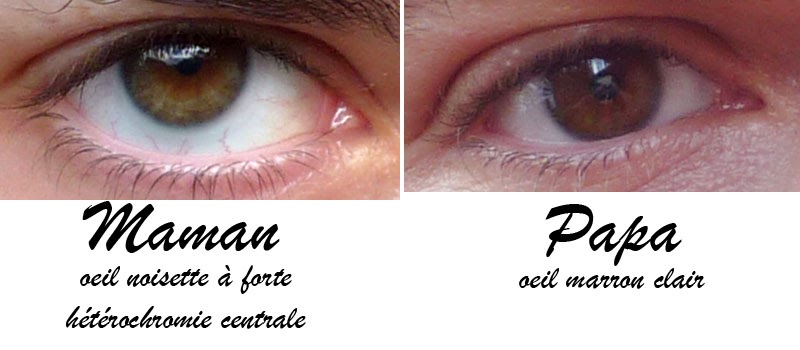 Que tu vois dans mes yeux quand de la personne baisse le masque