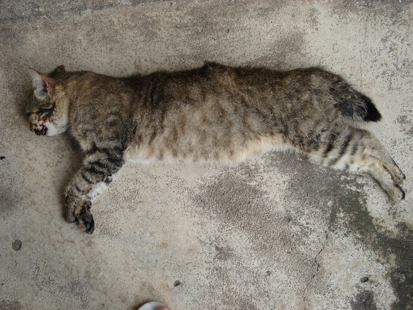 [DSC04840.JPG]