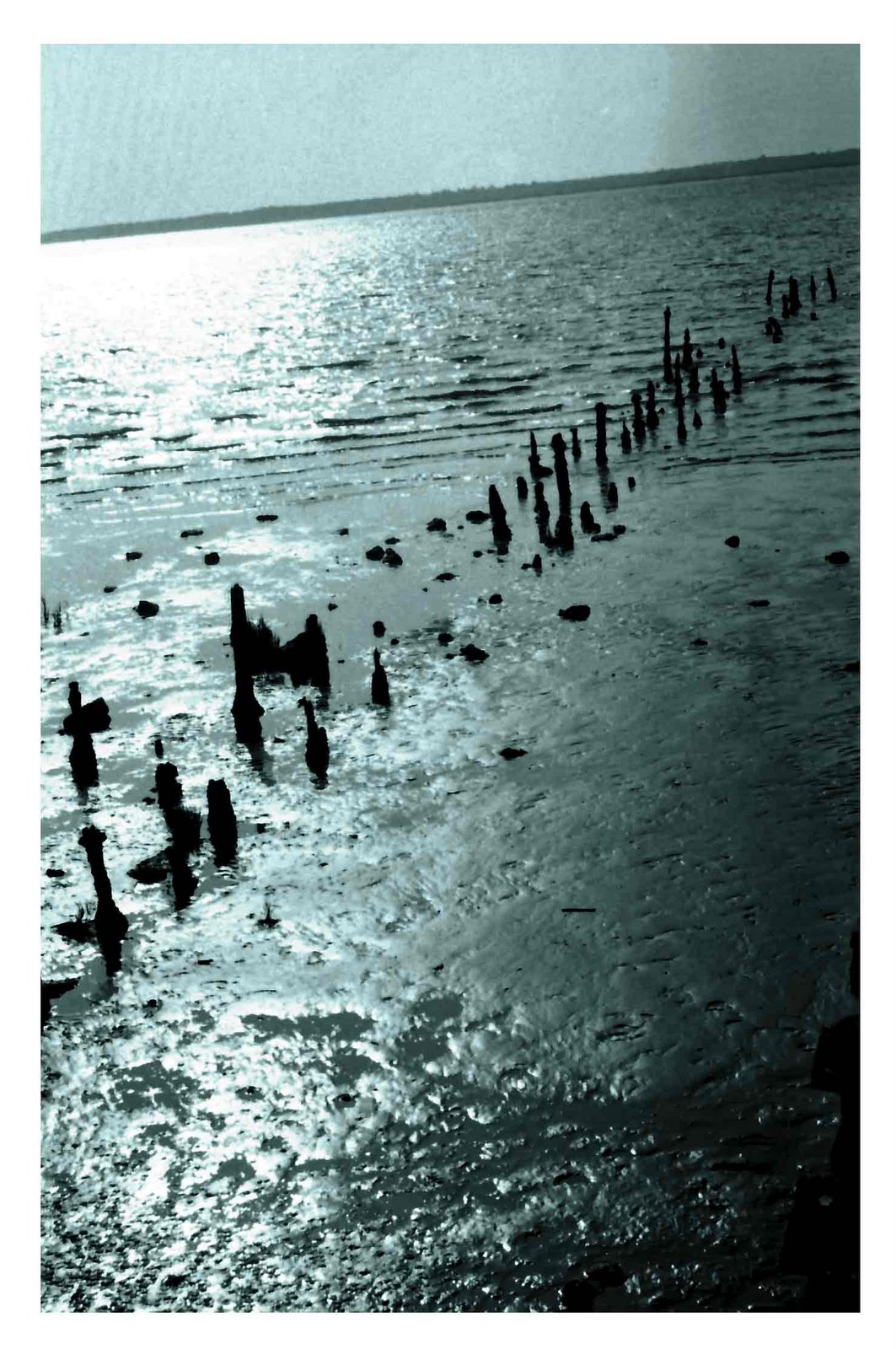 [PORTO-PALAFITA-RUINASweb.jpg]