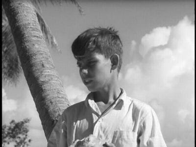 Lord of the Flies Lord Of The Flies Movie Stills. Lord of the Flies