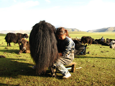 yak herders