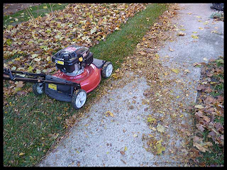 mulching leaves with lawn mower
