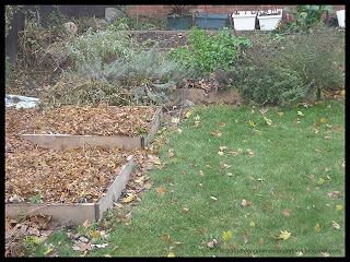 cleaned garden beds