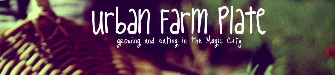 Urban Farm Plate