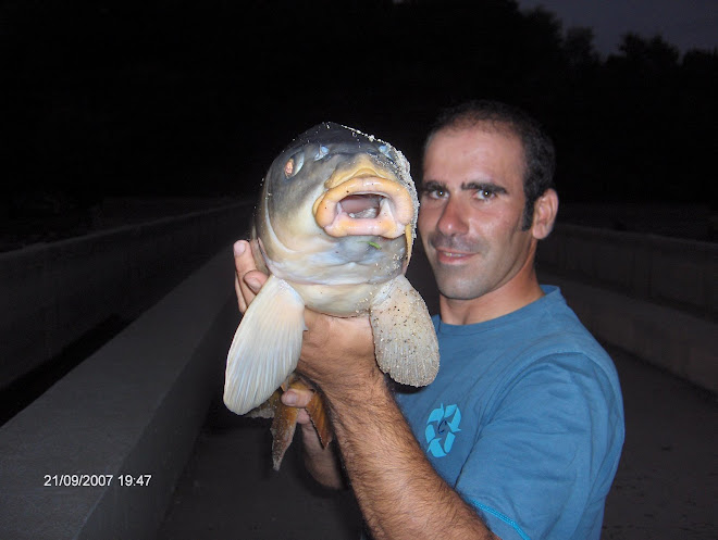 Carpa comum com 5,6kg setembro2007