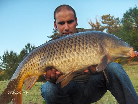 Carpa Aguiera