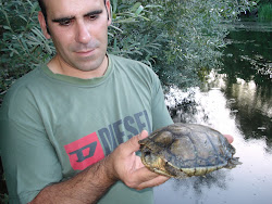 Um Cágado com boilies caseiras... Impressionante