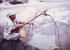 Mencari Ikan