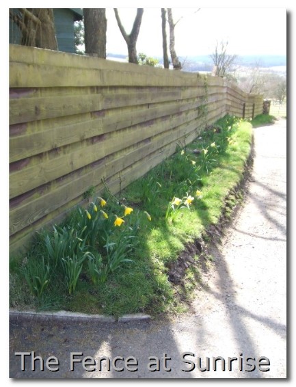 northumberland at springtime northumberland at springtime
