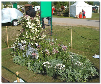 hort couture at beholders eye