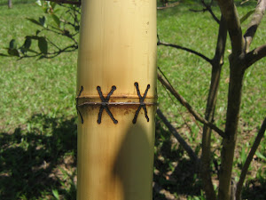 Didgeriddo Kokopelli Bamboo