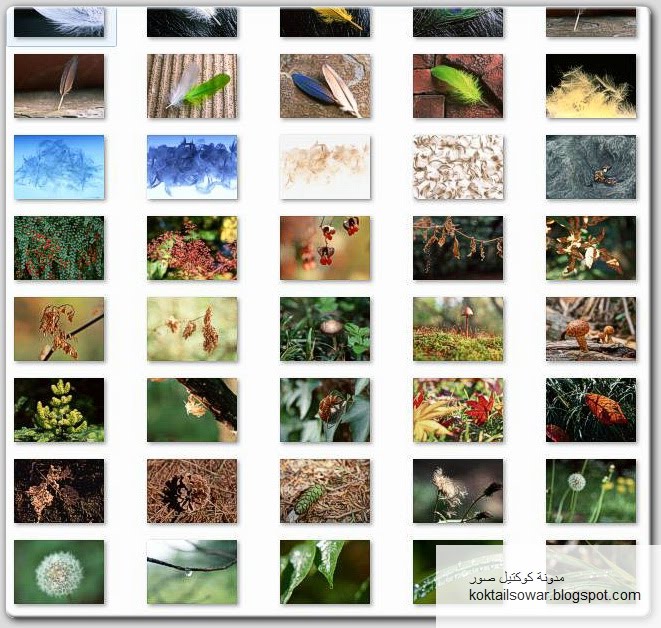 مجموعة مميزة من الخلفيات والصور Tn_DataCraft+SozaiJiten+Vol+054+-+Fascinating+Nature+3
