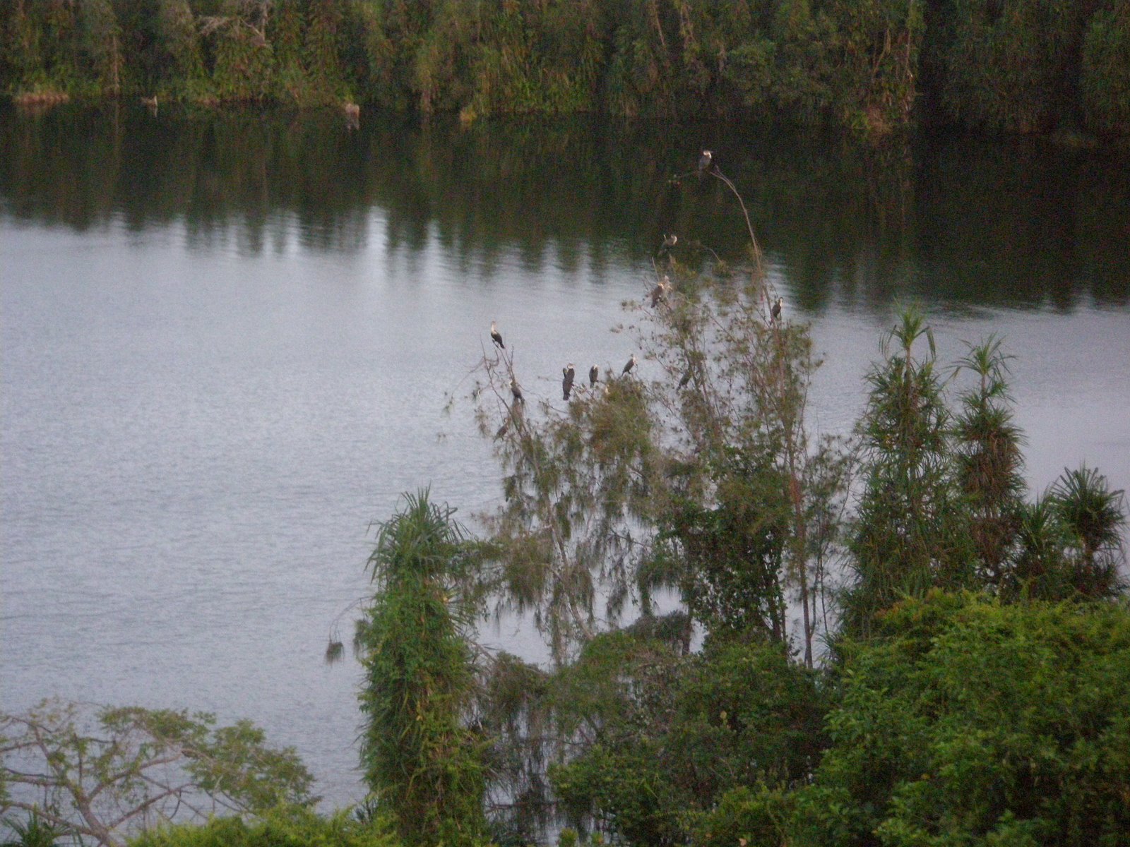 [P2140782.JPG]