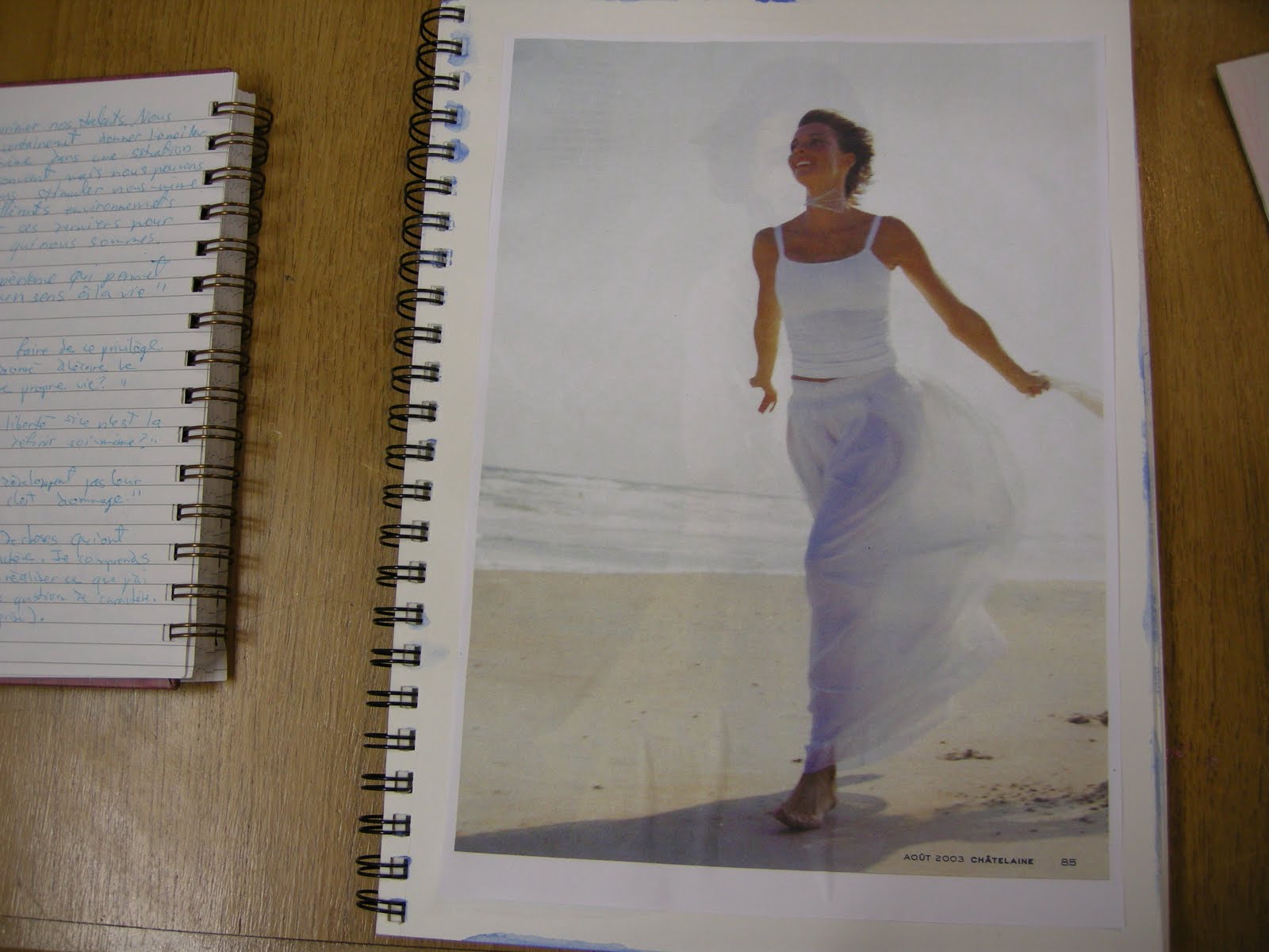 Papillon Bleu Novembre 10