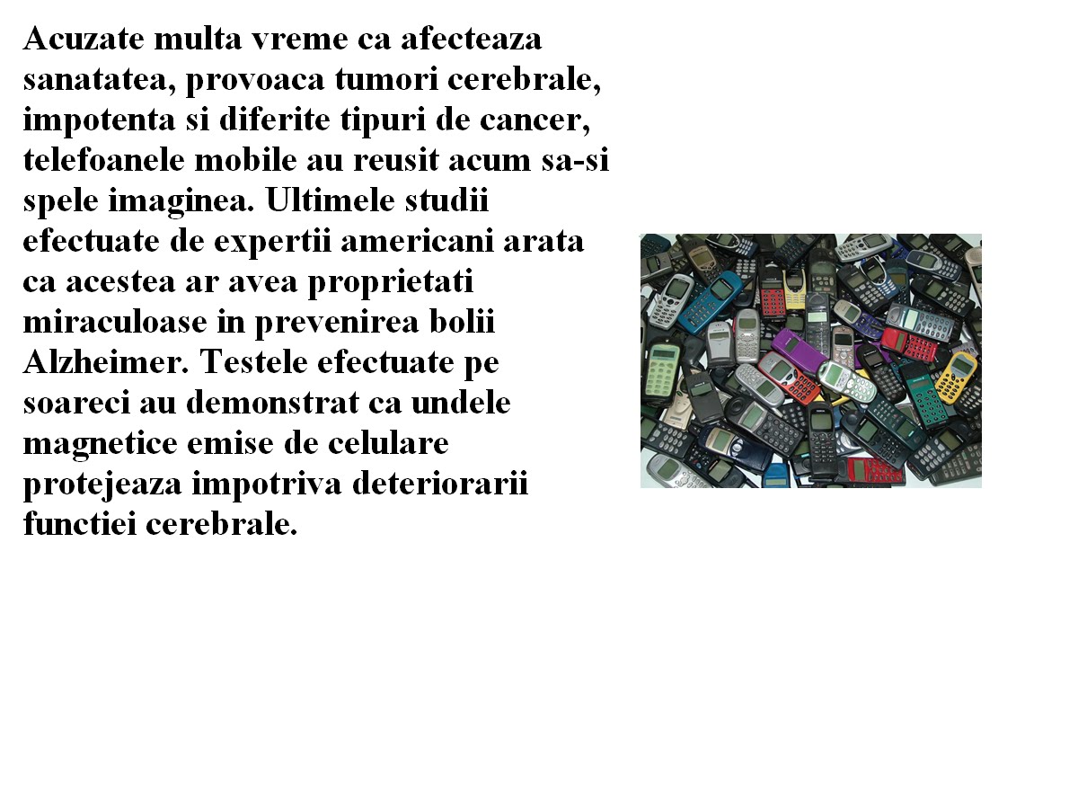 [1212.bmp]