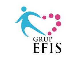 EFIS