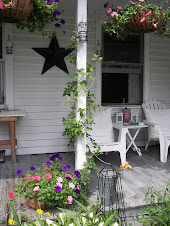 Clematis Terniflora in July