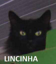 LINCINHA