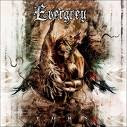 EVERGREY TORN