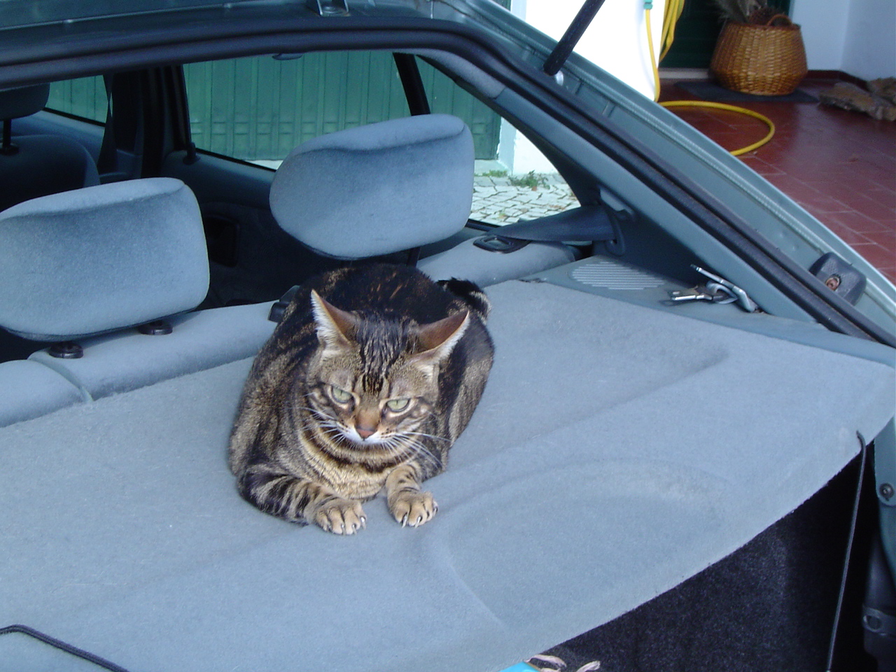 [DSC00416.JPG]