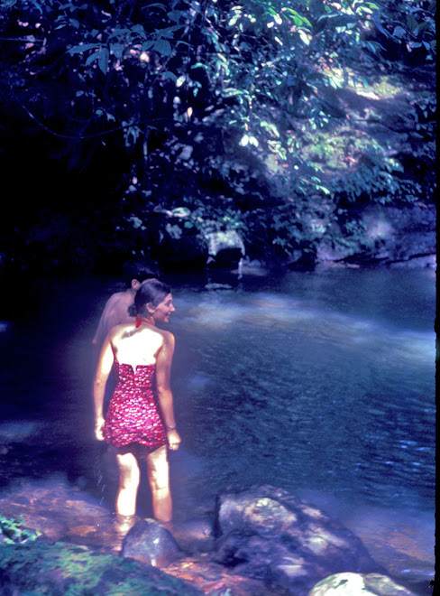 at Joro Falls (Dama Chiefdom)