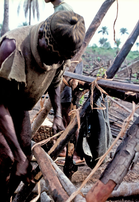 Pa Sam making his farmhouse near Vaama (Nongowa)