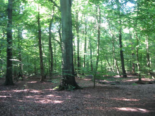 [IMG_3504_3.jpg]