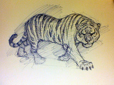 sketch tiger sketch tiger