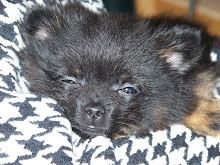 Little Sophie