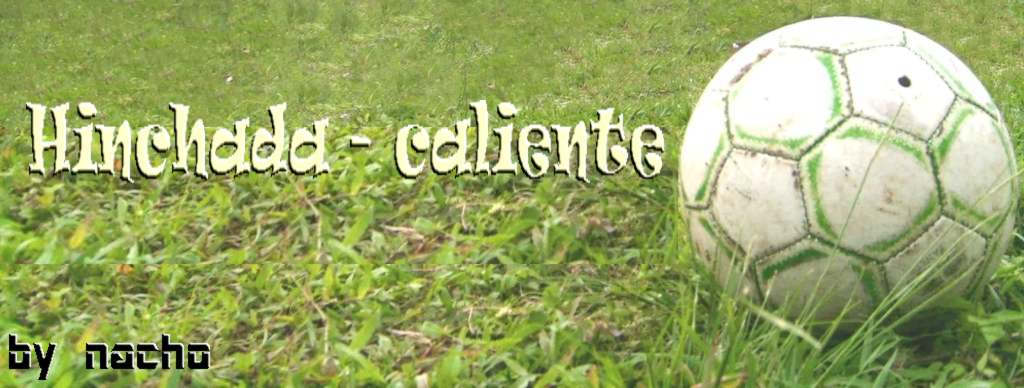 Todo Hinchada !
