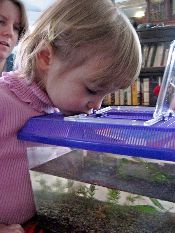[fish.jpeg]