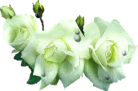 http://2.bp.blogspot.com/_lddFFu6s4yQ/SJcCMoh67KI/AAAAAAAAADY/2vKURdj4Sb4/s320/88.gif