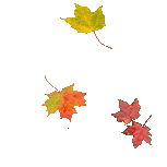 http://2.bp.blogspot.com/_lddFFu6s4yQ/SRNntO1sSnI/AAAAAAAAE_4/9S03P-CM0kY/s400/liscie11.gif