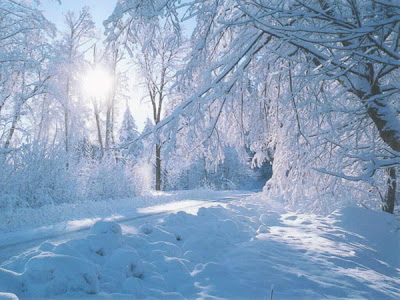 http://2.bp.blogspot.com/_lddFFu6s4yQ/SUpf2gJT5OI/AAAAAAAAIVc/bJZMK2J49aA/s400/zima30.jpg