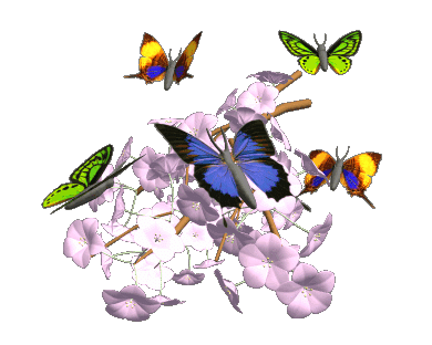 http://2.bp.blogspot.com/_lddFFu6s4yQ/Sm4x4g8fxdI/AAAAAAAAWaY/VG_fv9PmYoc/s400/rozne+gify10.gif
