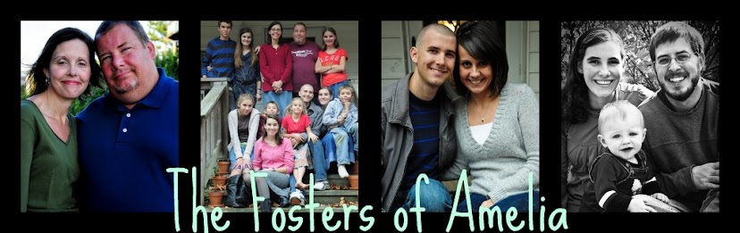 Fosters of Amelia