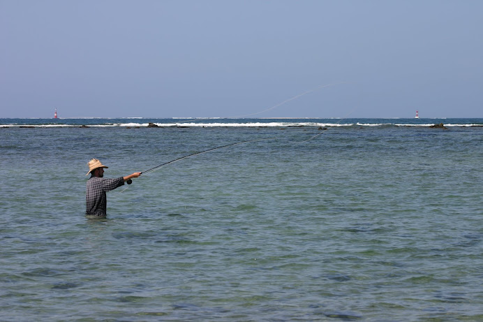 en los bajos de "la gallega" en el puerto de Veracruz