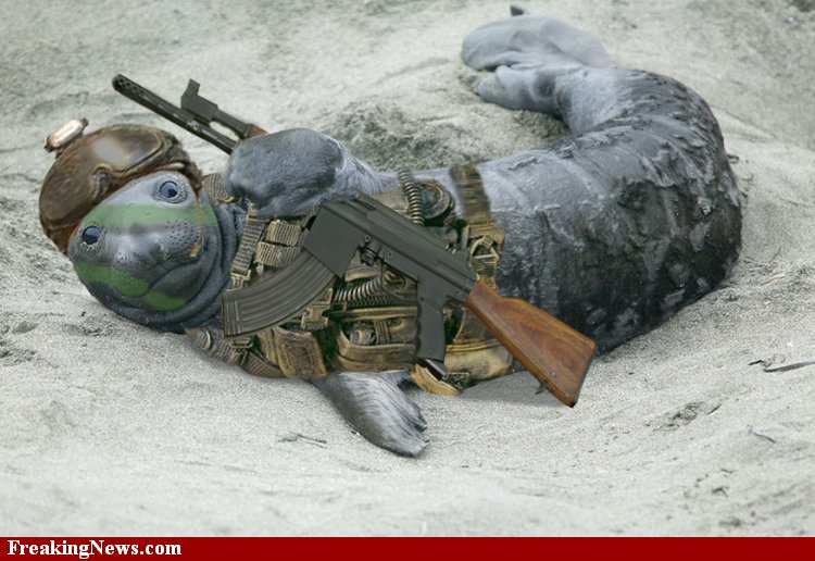 ANIMAL WEAPON What if animals have sixth sense