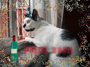 Visualizar