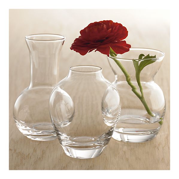 24 NEW Crate & Barrel Bud Vases Clear Glass Violet, Sweet Pea, Pansy 4