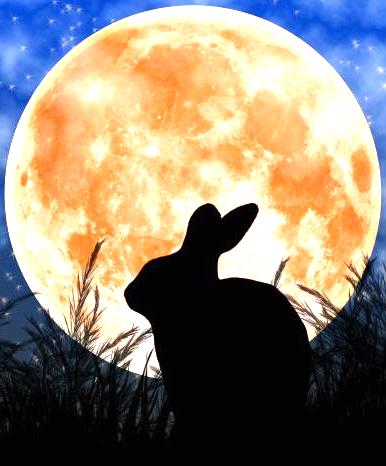 The symbolic meaning of rabbit in chinese culture Realbread-Realfood.. Peace Of Mind In Every Bite!: Chinese Mid Autumn