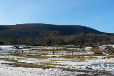 Horse farm in scenic Northwest Connecticut