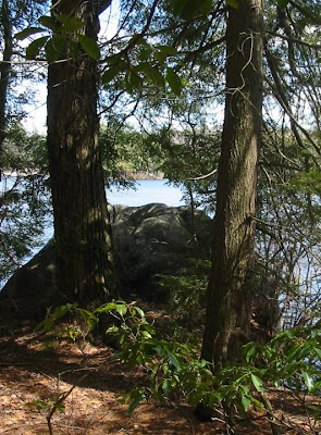 A large rock on the edge of Burr Pond