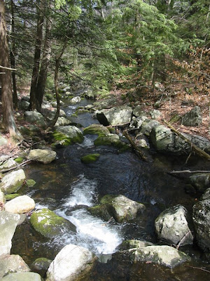 Lovely little stream coming from the dam at Burr Pond