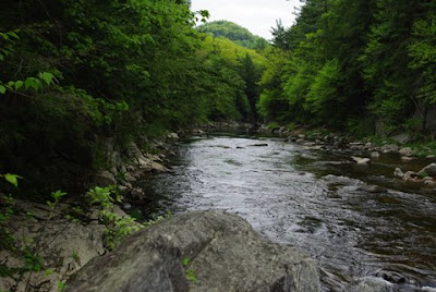 View upstream of the East Branch of the Westfield River