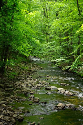 Another view of Amethyst Brook in Amherst, MA