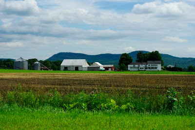 View of a farm with the Holyoke Range in the background