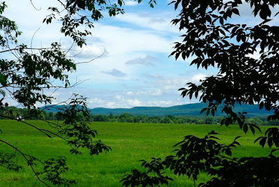 Scenic view from the Norwottuck Rail Trail of the Holyoke Mountain range